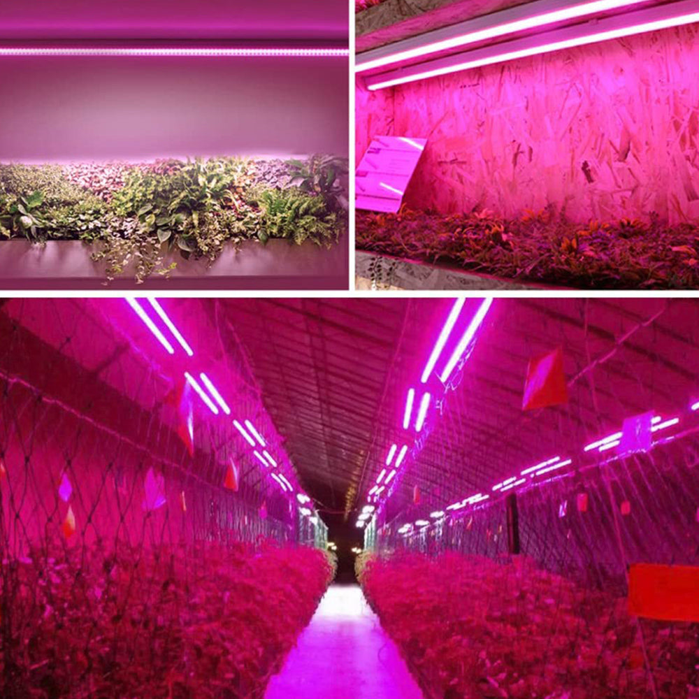 BowLift | LED plant lamp with full spectrum lighting and pull switch for optimal plant growth