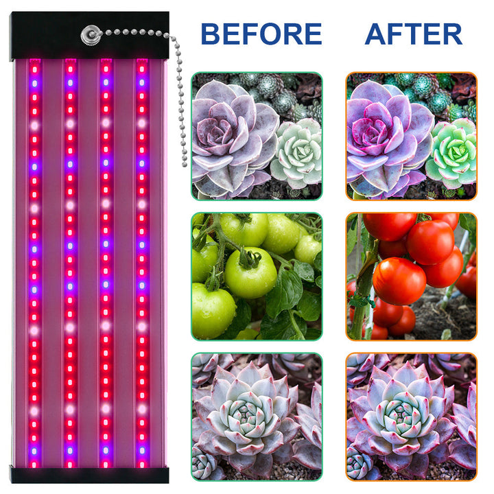 BowLift | LED plant lamp with full spectrum lighting and pull switch for optimal plant growth