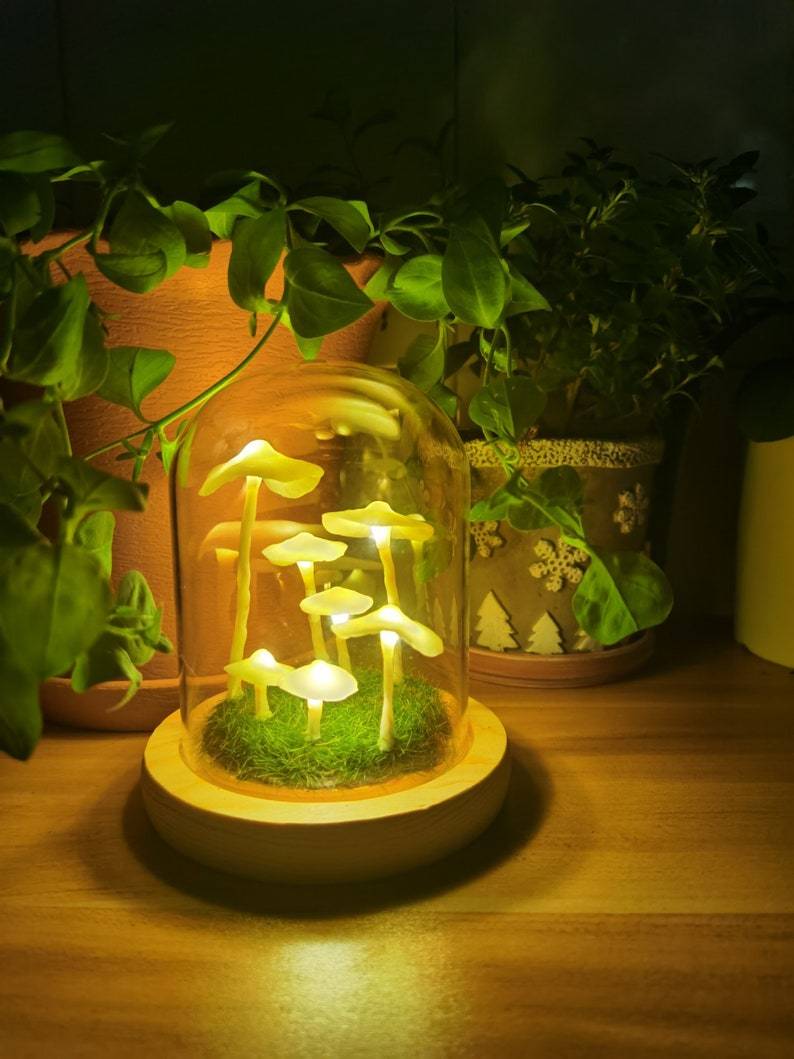 BowLift | MycoJar - Make your own mushrooms - Natural glass DIY - Awaken your creativity