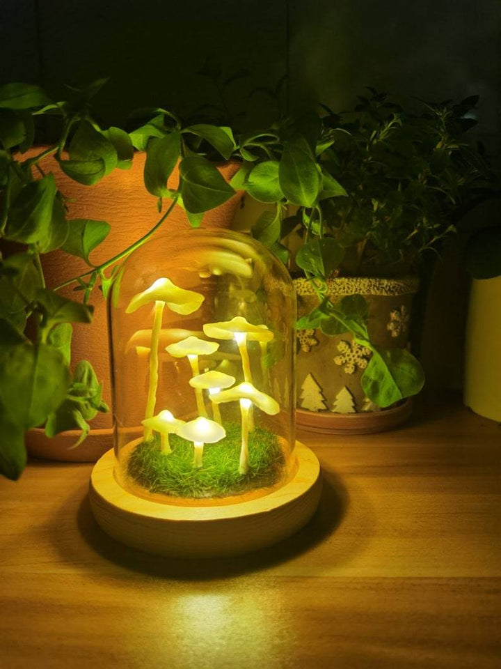 BowLift | MycoJar - Make your own mushrooms - Natural glass DIY - Awaken your creativity