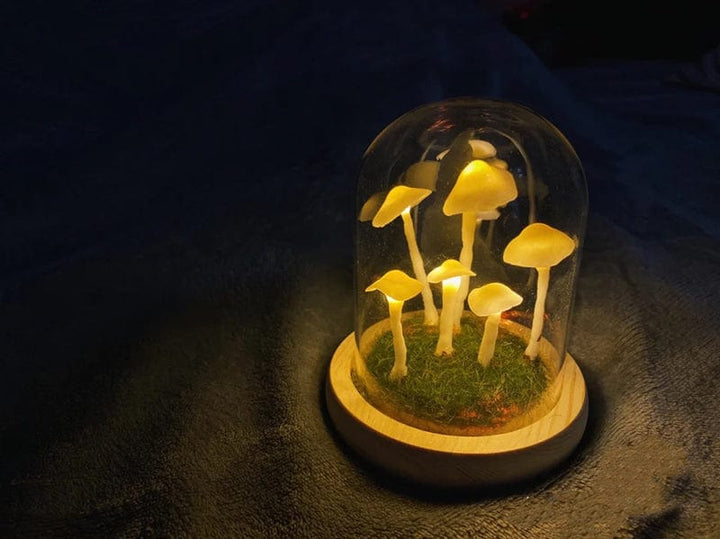 BowLift | Home cultivation with a touch of magic