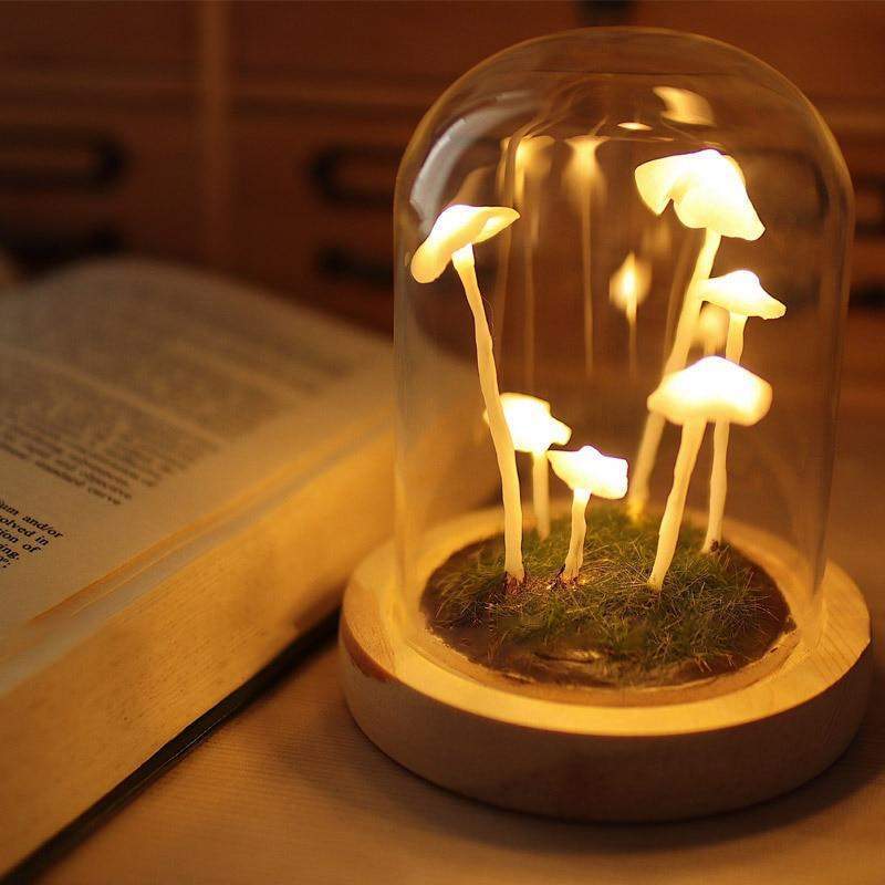 BowLift | MycoJar - Make your own mushrooms - Natural glass DIY - Awaken your creativity