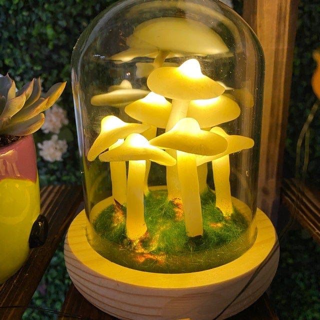 BowLift | MycoJar - Make your own mushrooms - Natural glass DIY - Awaken your creativity