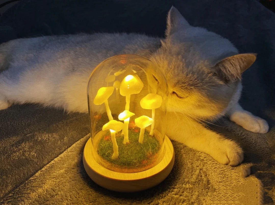 BowLift | MycoJar - Make your own mushrooms - Natural glass DIY - Awaken your creativity