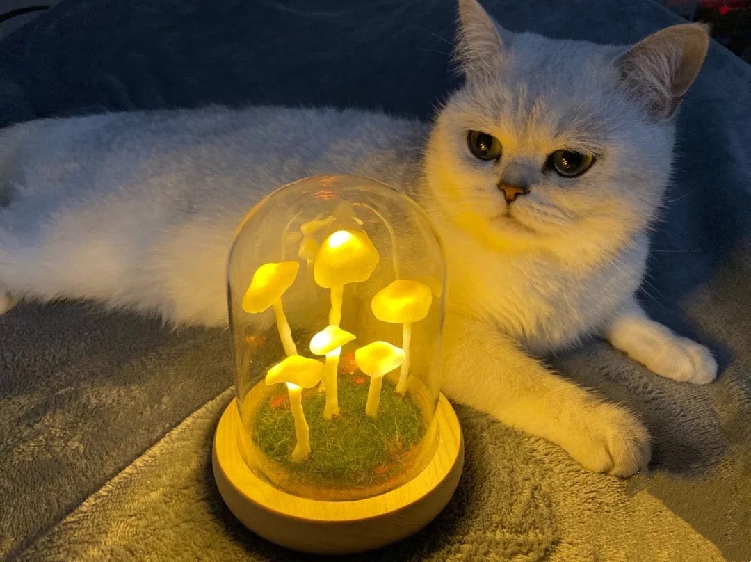 BowLift | MycoJar - Make your own mushrooms - Natural glass DIY - Awaken your creativity