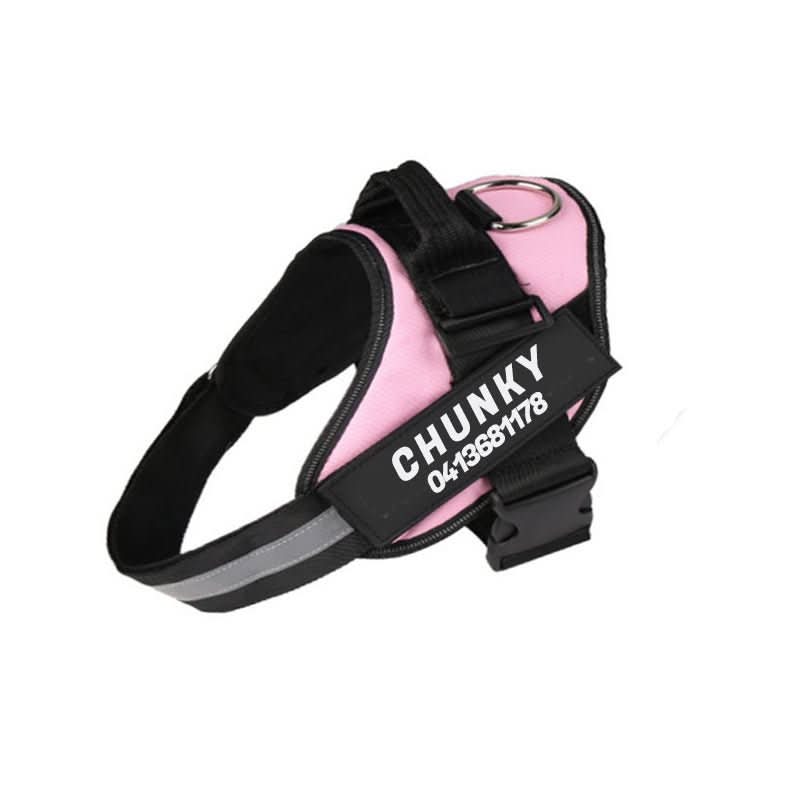 BowLift | DOGSAFE HARNESS – Safety dog harness with name tag & reflectors