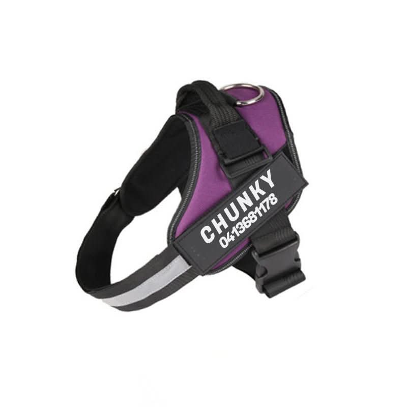 BowLift | Safety Dog Harness with Name Tag & Reflectors