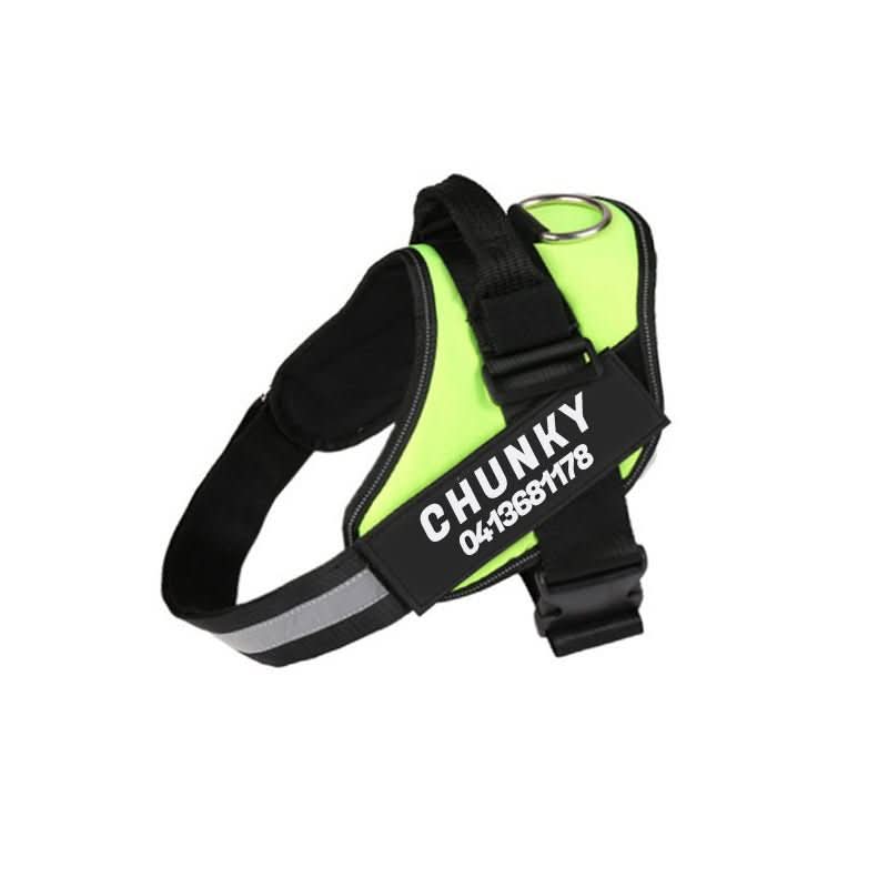 BowLift | Safety Dog Harness with Name Tag & Reflectors