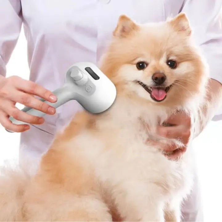 BowLift | Steam Hair Removal Comb – Fur Care Brush for Pets