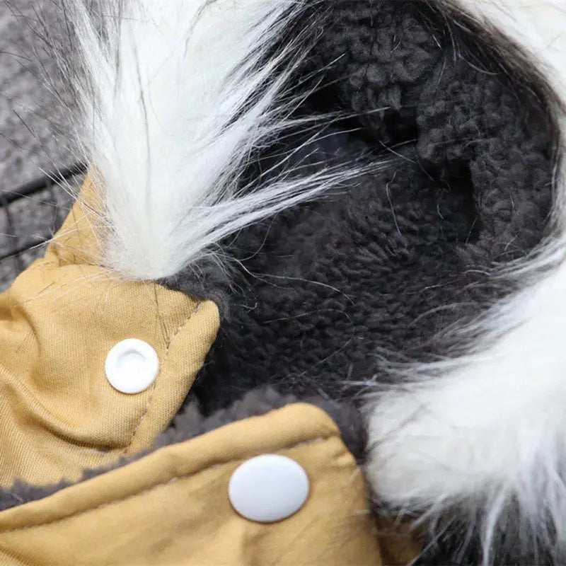 BowLift | Dog jacket with fur trim hood - Dog and cat clothing