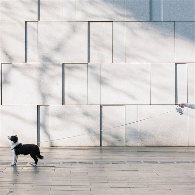 BowLift | Dynamic construction provides full control during walks!