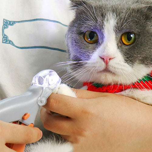 BowLift | Best Dog Nail Clipper With Quick Sensors
