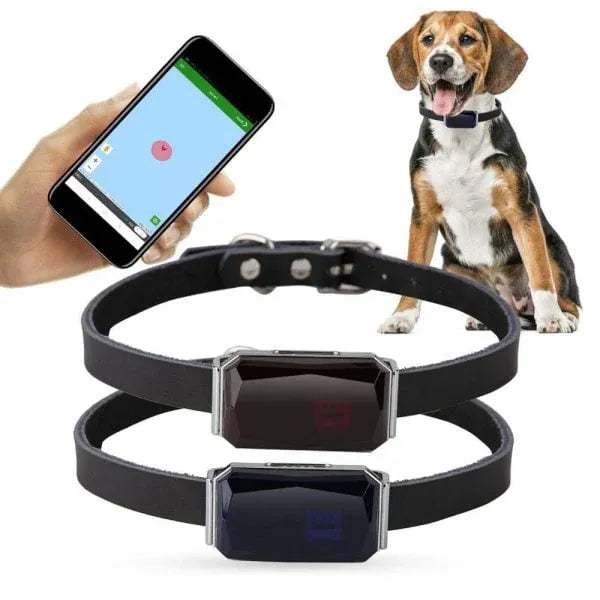 Pet GPS Tracker - Real-Time Location Tracking System for Pets | Bowlift