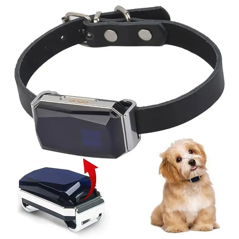 Pet GPS Tracker - Real-Time Location Tracking System for Pets | Bowlift