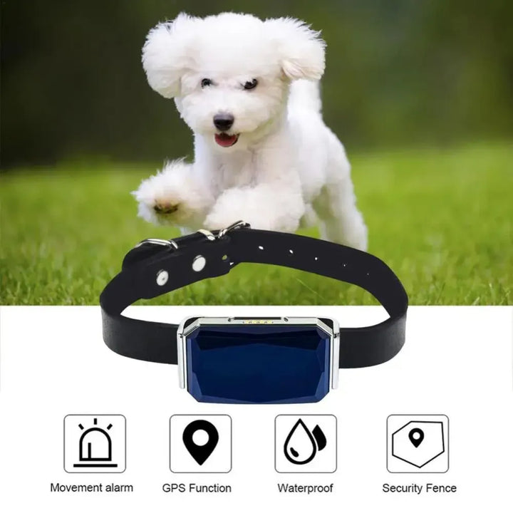 Pet GPS Tracker - Real-Time Location Tracking System for Pets | Bowlift