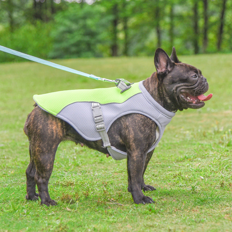 French Bulldog Summer Cooling Vest Heat Resistant Breathable Sun-proof | Bowlift