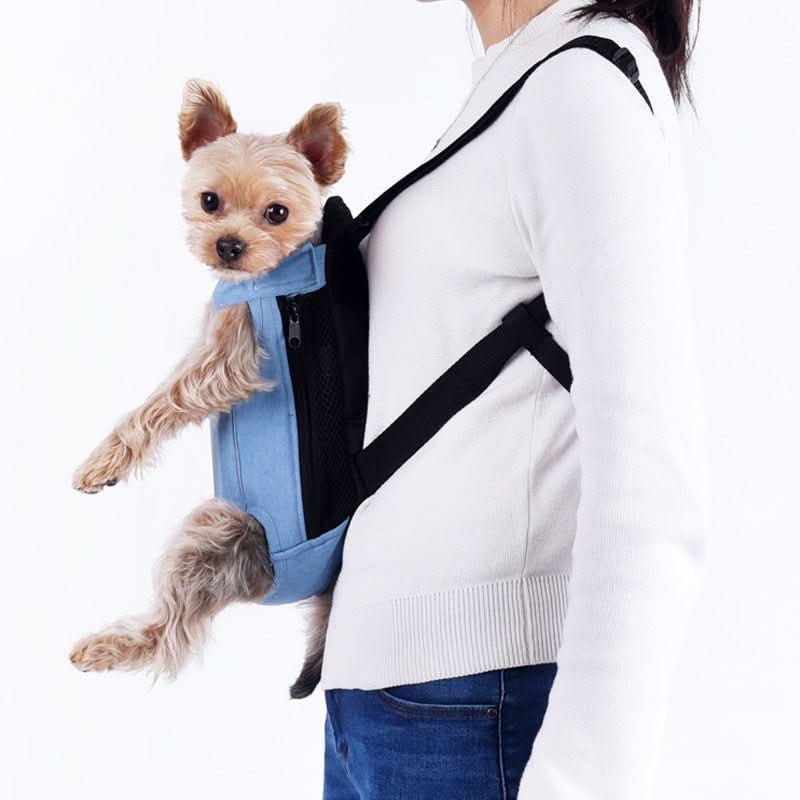 BowLift | PETCARRIER – Carrier bag for dogs with safety strap & comfort padding