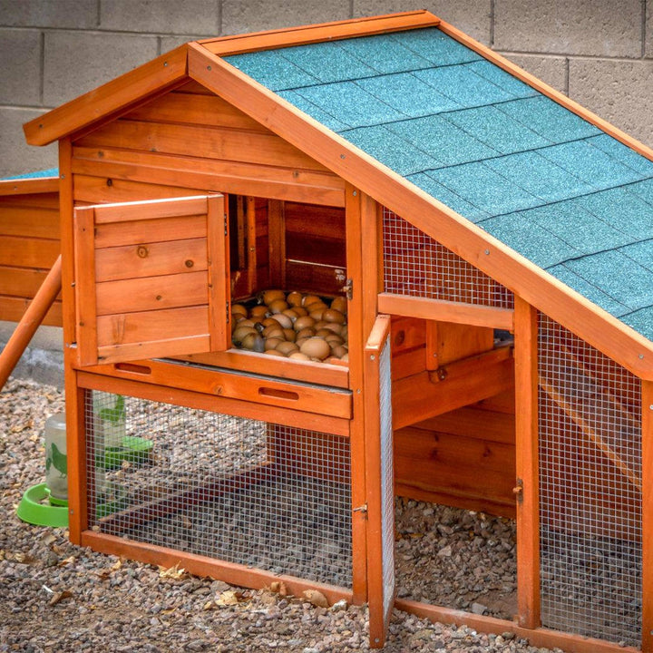 Wire mesh Galvanized 5m/10m Aviary wire Mole mesh | Bowlift