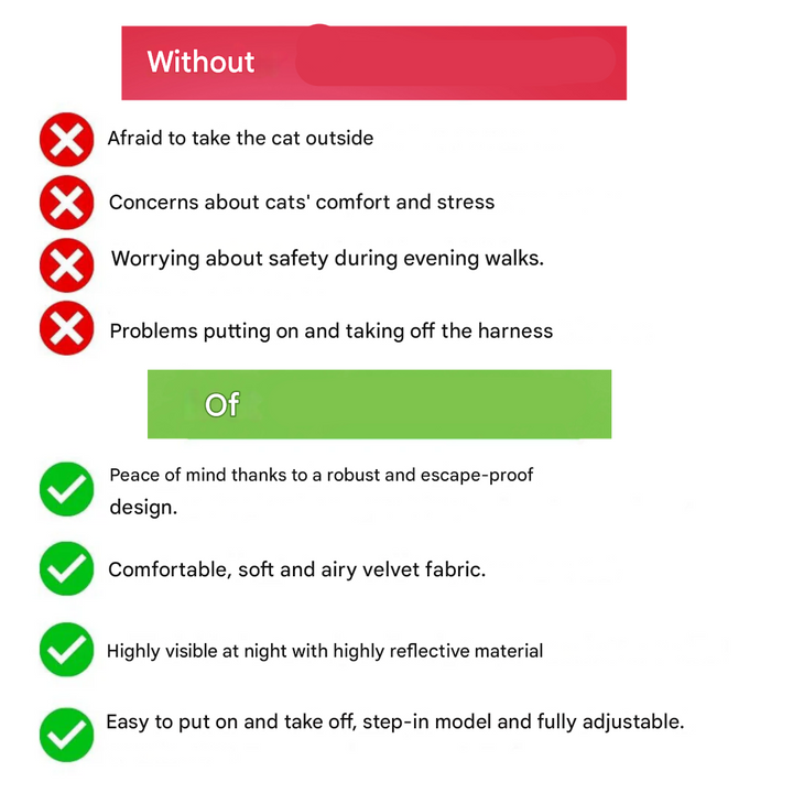 Adventurous Cat Harness with Leash – Adjustable and Reflective | Bowlift