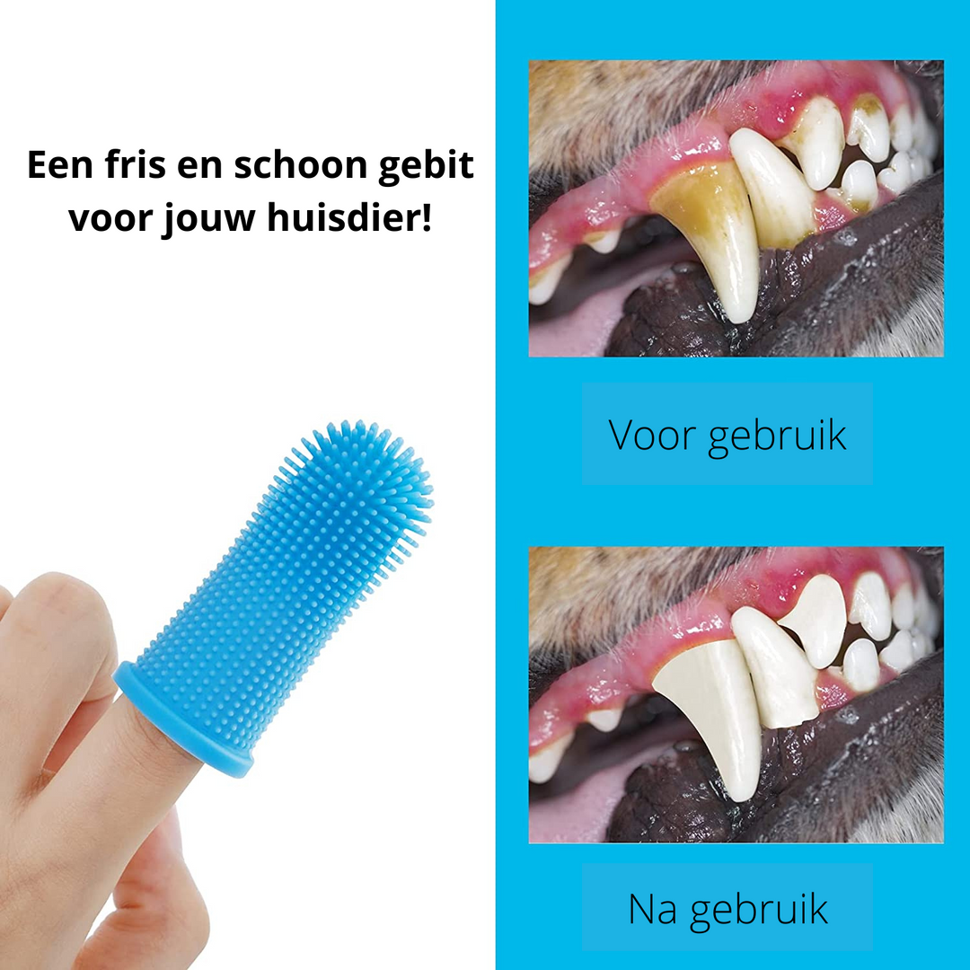Safe Dog Dental Care for Home Bowlift