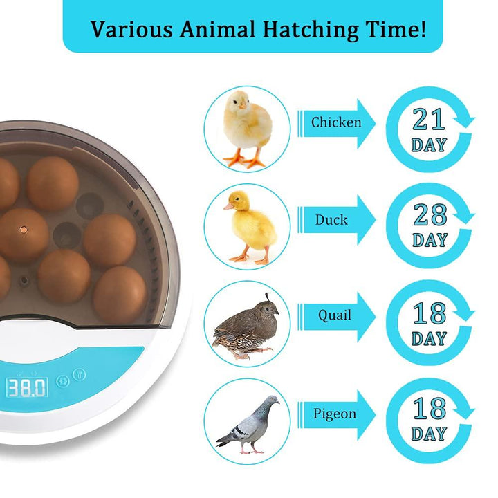 BowLift | Egg Incubator for Chicken Eggs Incubator for Egg Hatching Chicks with Temp Control LED Chicken Hatcher