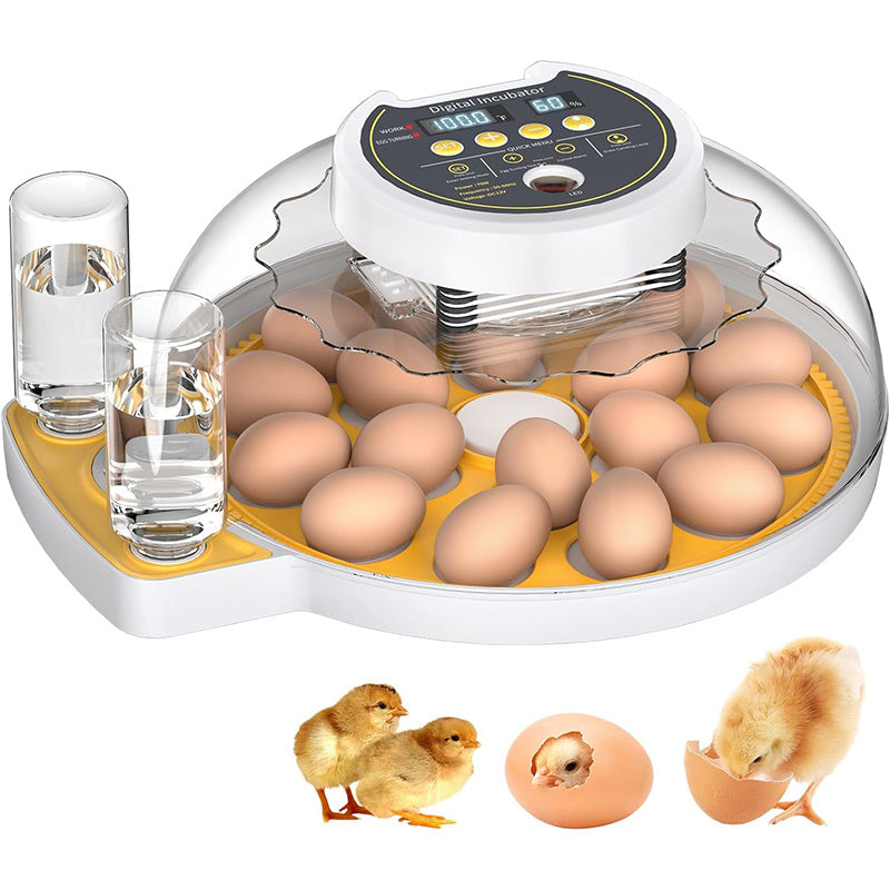 BowLift | 18 Egg incubator with automatic Egg turning and humidity control Incubator for chicken Eggs for Hatching Chickens