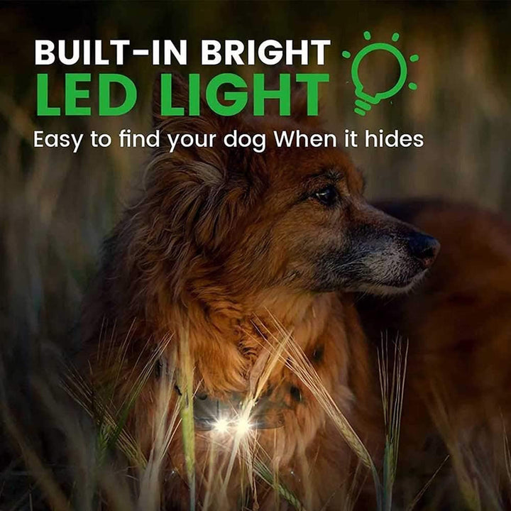 BowLift | 800M Rechargeable Electric Dog Training Collar | Waterproof, Remote Control & Ideal for Effective Dog Training