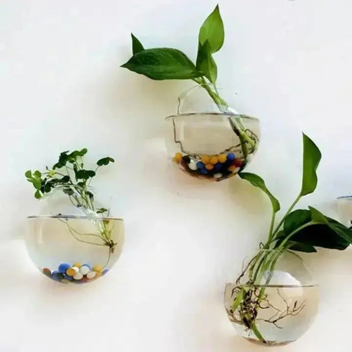 BowLift | Elegant Glass Wall Vases – For Cuttings & Decor