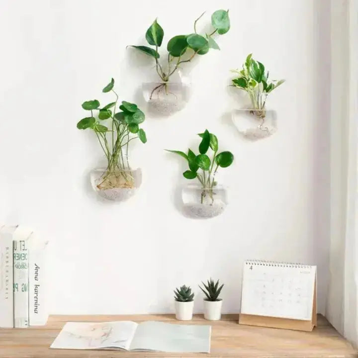 BowLift | Elegant Glass Wall Vases – For Cuttings & Decor