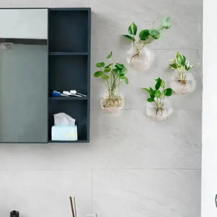 BowLift | Elegant Glass Wall Vases – For Cuttings & Decor