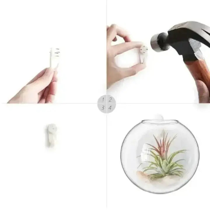 BowLift | Elegant Glass Wall Vases – For Cuttings & Decor