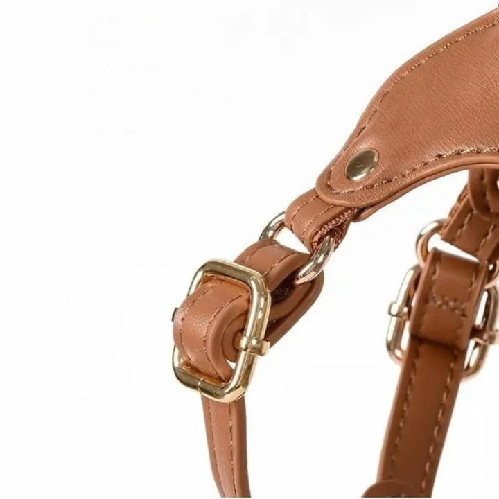 Adjustable Leather Dog Harness with Custom Engraving Bowlift