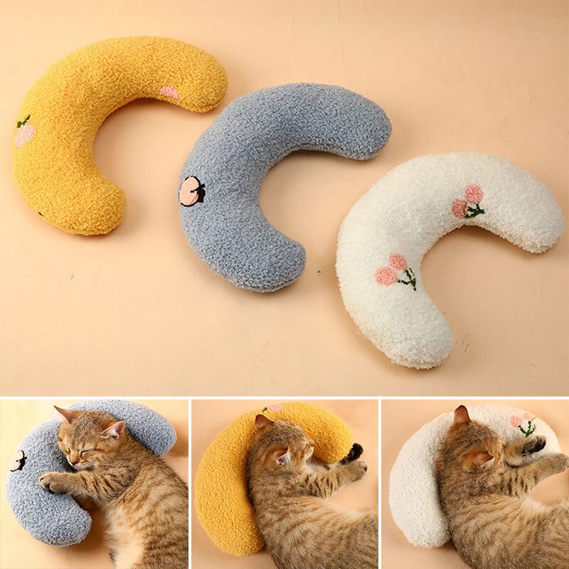 Cat Lovely Comfortable Cushion Bowlift