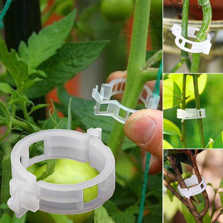 Plant support clips | Bowlift