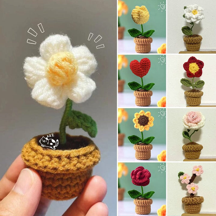 BowLift | Handmade knitted flowers