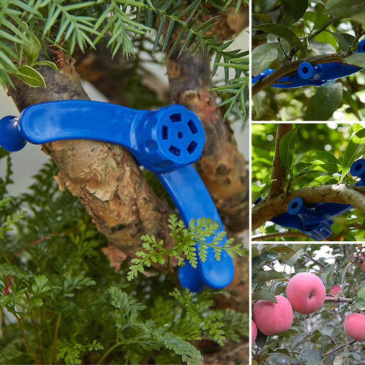 BowLift | Fixative for branch modeling