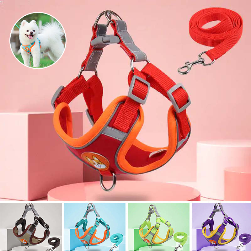 BowLift | Reflective Pet Harness and Leash Set