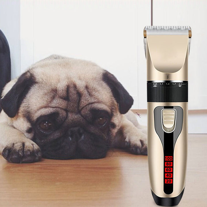 BowLift | Professional pet grooming kit