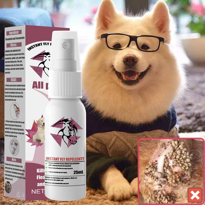 BowLift | Instant Equine Insect Repellent