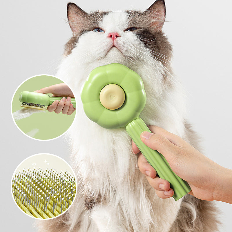 Tier hair brush | Bowlift