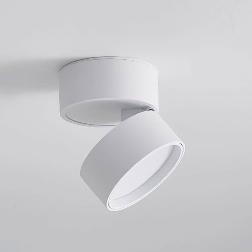BowLift | Adjustable Surface LED Ceiling Light Warm White