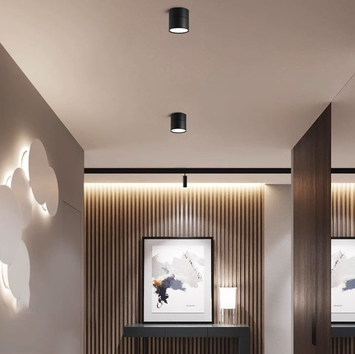 BowLift | Adjustable Surface LED Ceiling Light Warm White