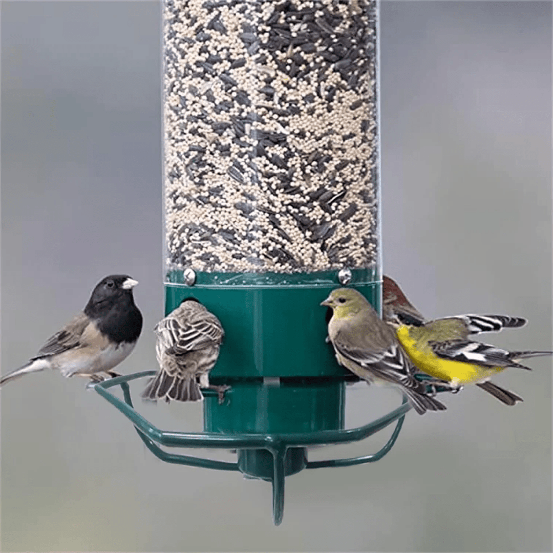 BowLift | Squirrel-proof birdhouse with rotating perch & 4 feeding openings