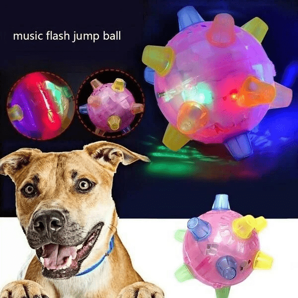 BowLift | Interactive LED Jump Ball for Dogs