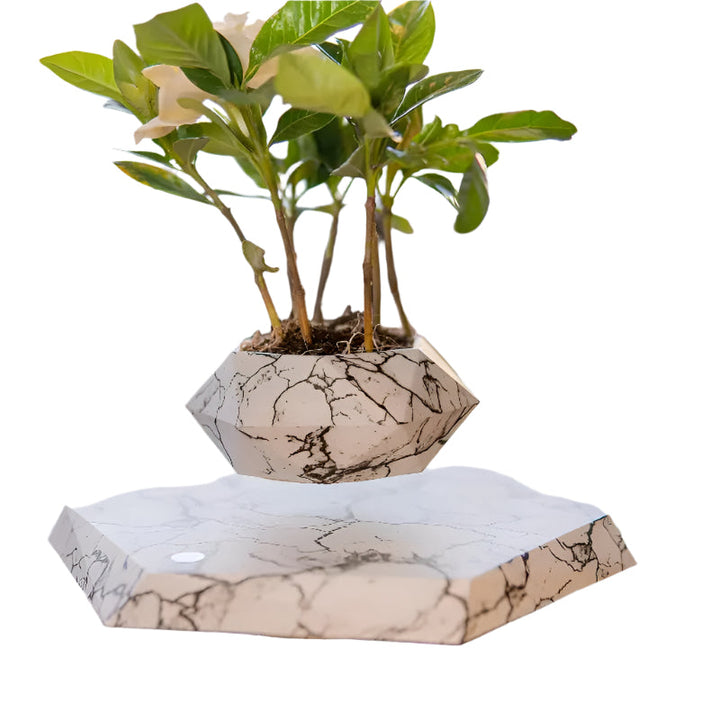 GeoSpin rotating geometric plant box Bowlift