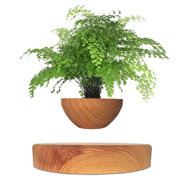 GeoSpin rotating geometric plant box Bowlift