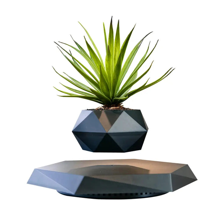 GeoSpin rotating geometric plant box Bowlift