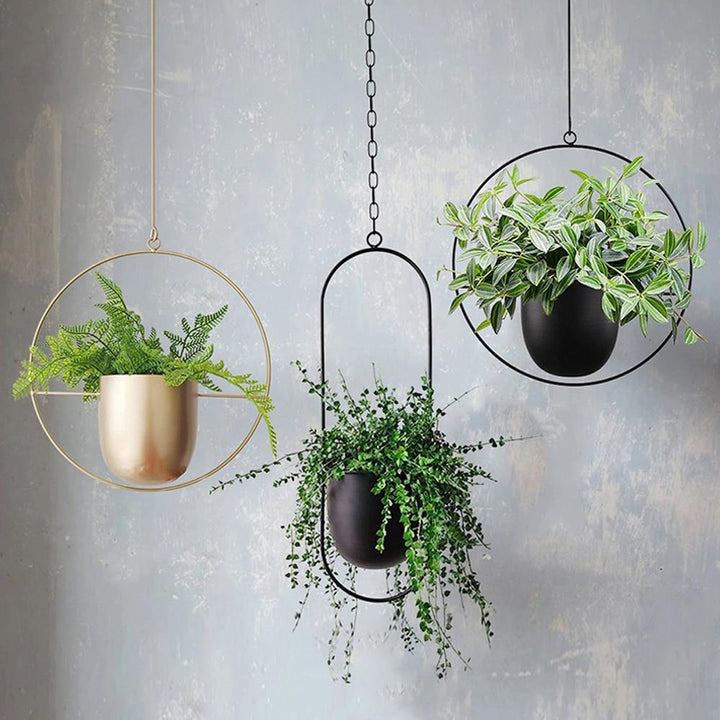 BowLift | FloraFrame | Modern Plant Holder made of Iron