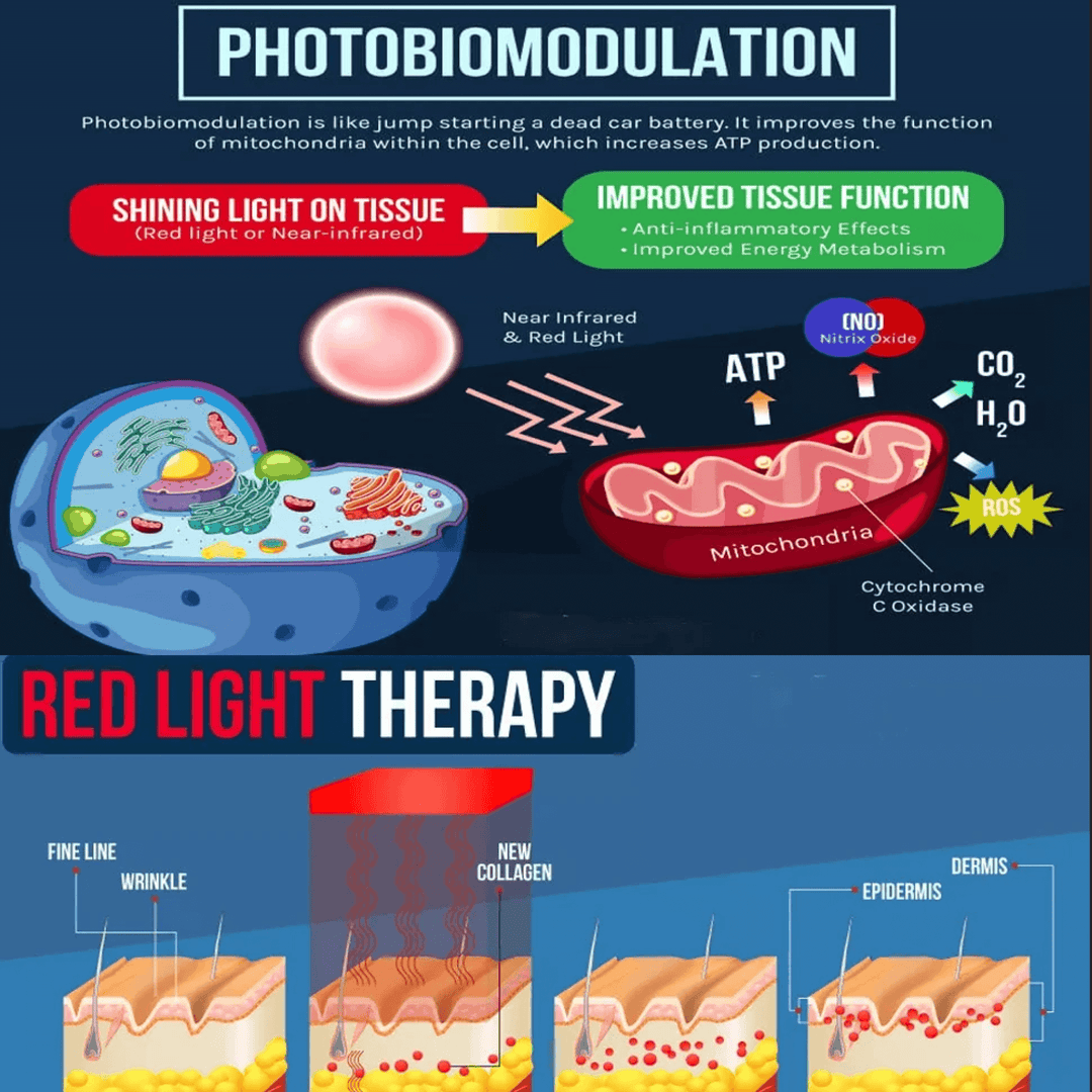 BowLift | Red and Blue Light Phototherapy Therapy