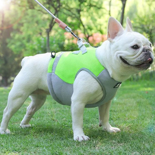 Frenchie Summer Reflective Cooling Vest | Bowlift